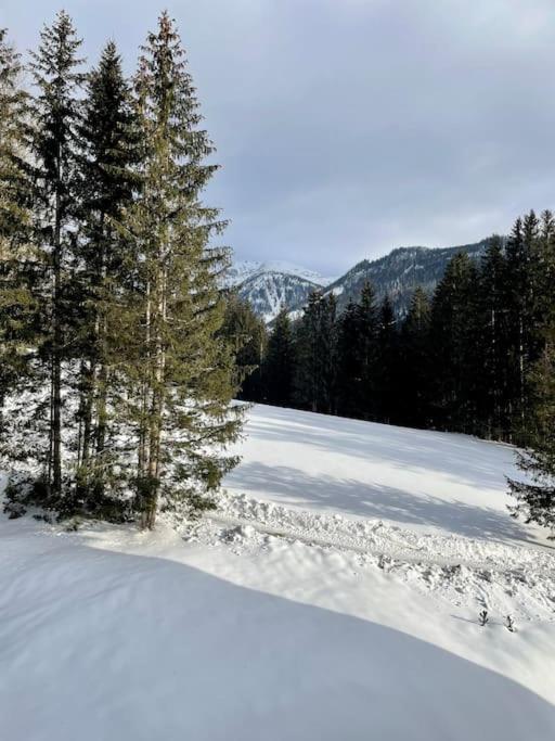 Alpenurlaub II Wohnung Mit Traumausblick Bad Mitterndorf Exterior foto